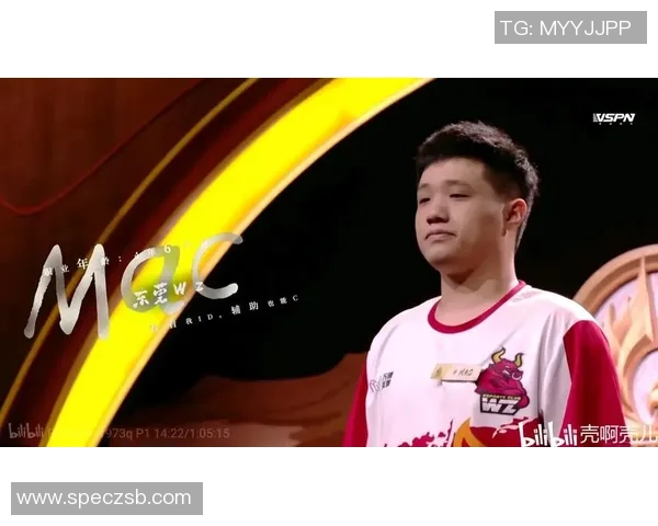 TES在冠军杯中的战术表现分析与总结探讨