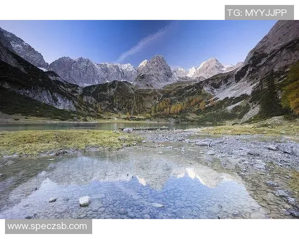 杨娜独家分享攀岩技巧与心得体会助你轻松征服高峰