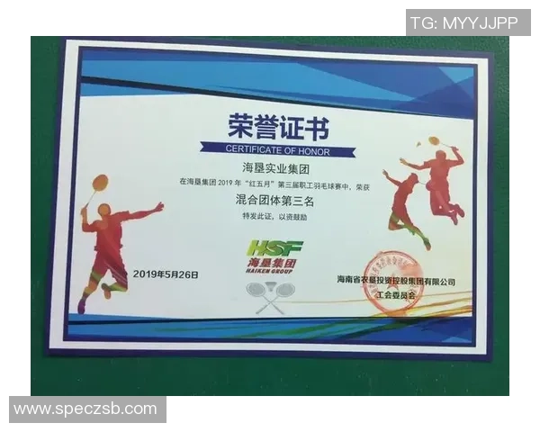 深圳羽毛球队团队协作模式深度解析与其他城市队伍对比分析 深圳羽毛球队团队协作模式深度解析与其他城市队伍对比分析