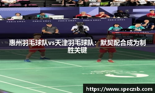 惠州羽毛球队vs天津羽毛球队：默契配合成为制胜关键