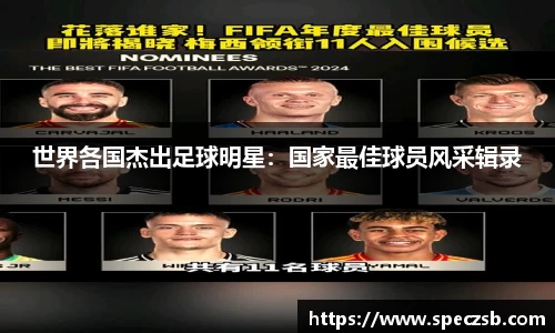 世界各国杰出足球明星：国家最佳球员风采辑录